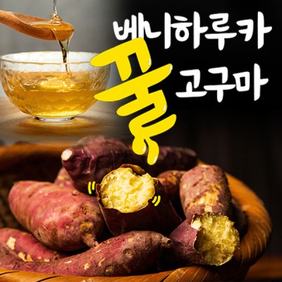 [공동구매] [12.08(일) 주문마감, 12.12(목) 배송상품] 베니하루카 꿀 고구마 3kg