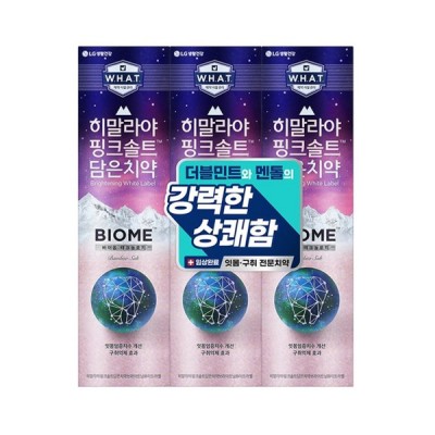 [실온] 히말라야핑크솔트 담은 바이옴 구취억제 치약 100g, 3개