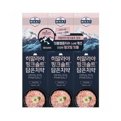 [실온] 히말라야핑크솔트 담은 치약 플로럴 100g, 3개
